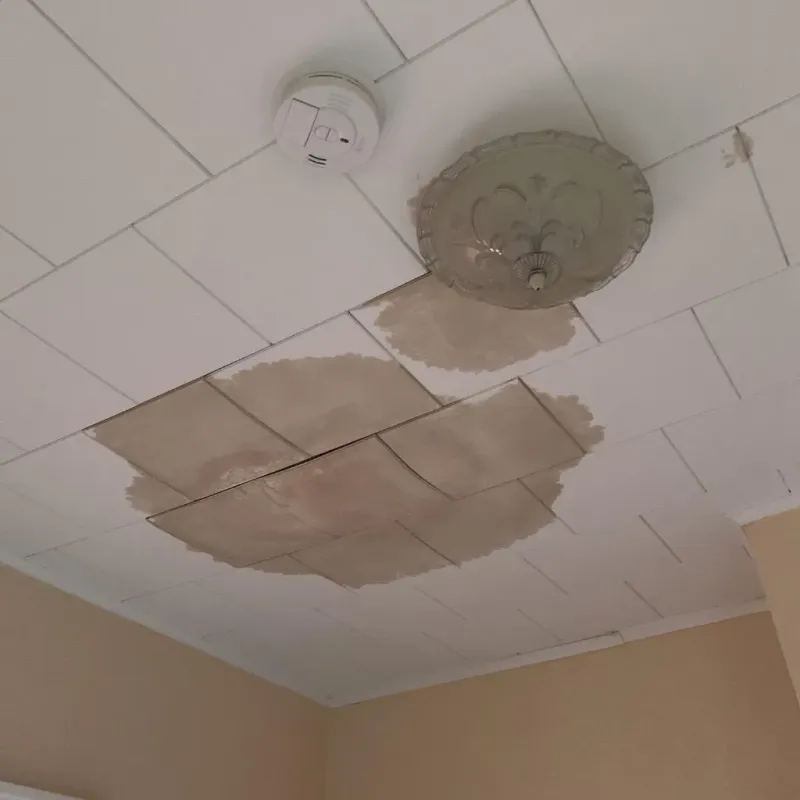 Ceiling Water Damage Repair in Lakes, AK