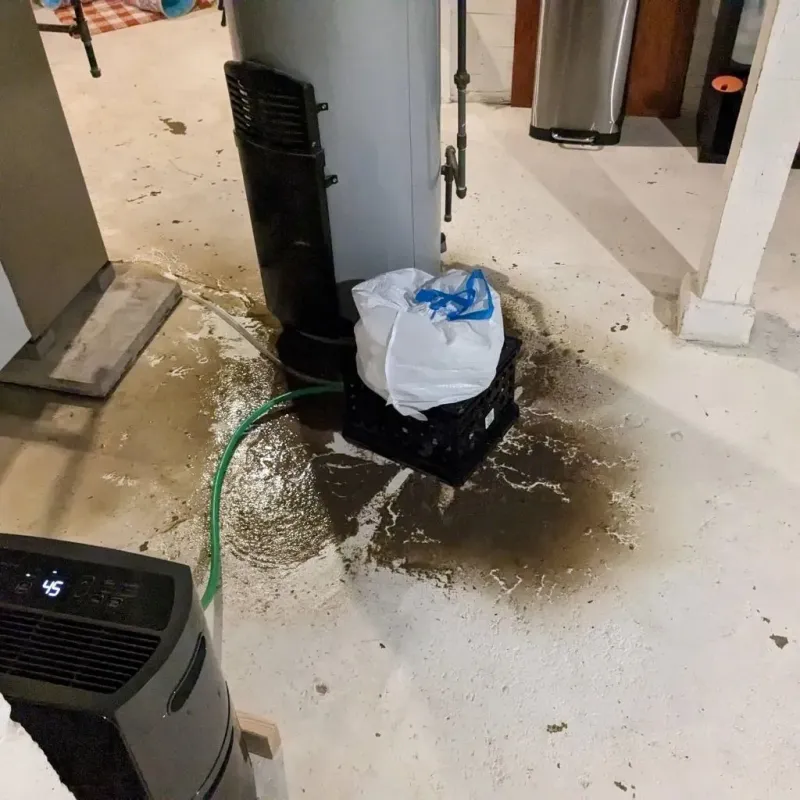 Sewage Backup Cleanup Service in Lakes, AK